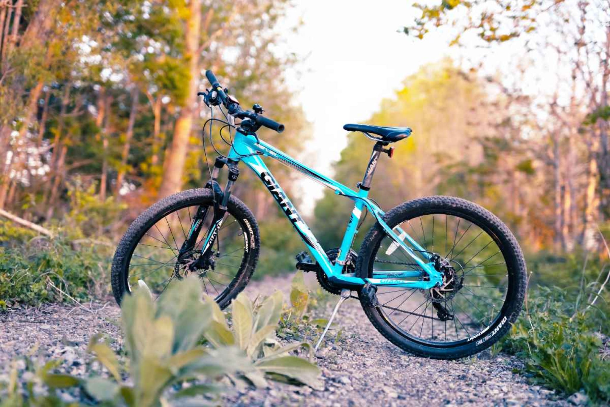 VTT électriques Giant notre avis (2024)